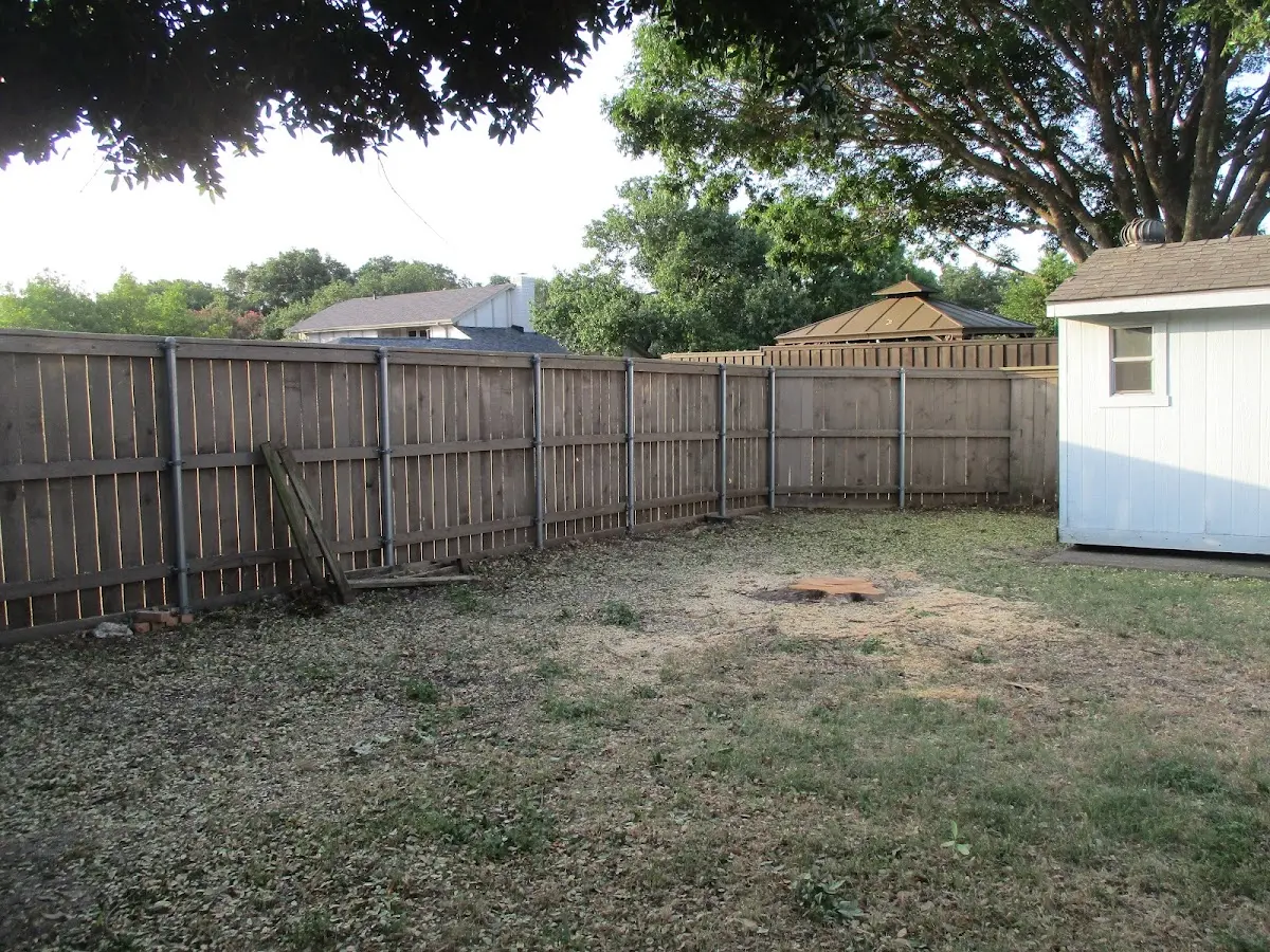 Cleared yard after professional tree removal in Brandenburg